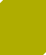 flaecheorange
